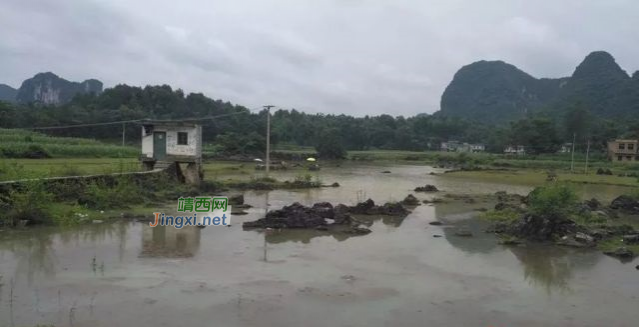 一场大暴雨过后，靖西突然“长”出好多片湖 - 靖西市·靖西网