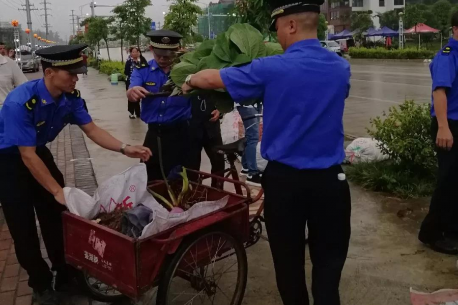 靖西城管端午驻守乐活城 为中国·靖西端午药市护航 - 靖西市·靖西网