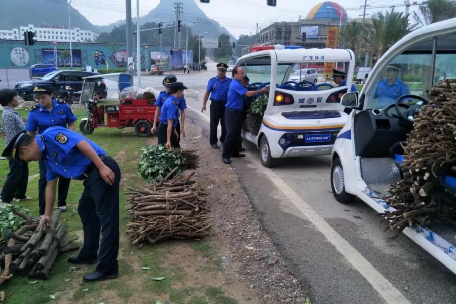 靖西城管端午驻守乐活城 为中国·靖西端午药市护航 - 靖西市·靖西网