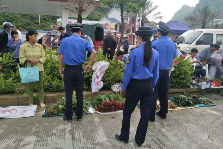 靖西城管端午驻守乐活城 为中国·靖西端午药市护航 - 靖西市·靖西网