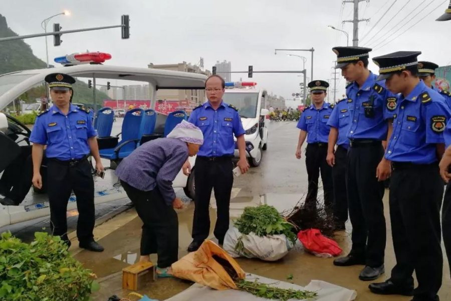 靖西城管端午驻守乐活城 为中国·靖西端午药市护航 - 靖西市·靖西网