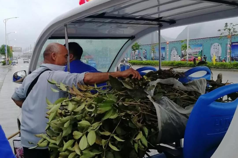 靖西城管端午驻守乐活城 为中国·靖西端午药市护航 - 靖西市·靖西网