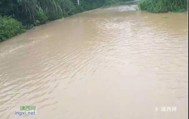 靖西开启“开船”模式，持续降雨致多处地方积水严重! - 靖西市·靖西网