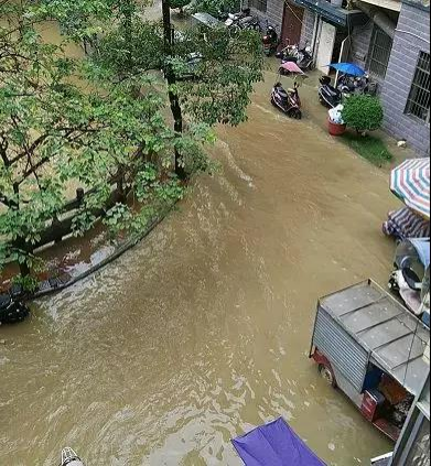 靖西开启“开船”模式，持续降雨致多处地方积水严重! - 靖西市·靖西网