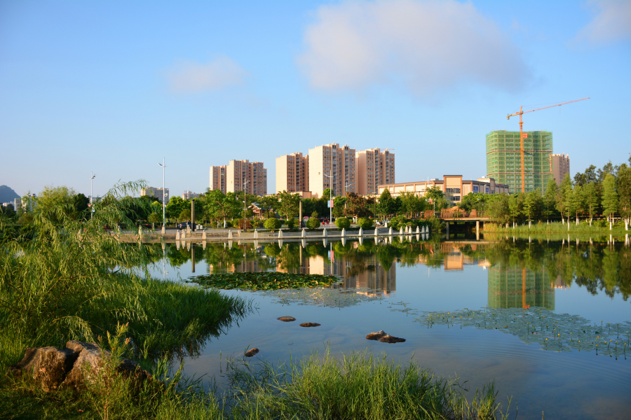 湿地风光美 - 靖西市·靖西网