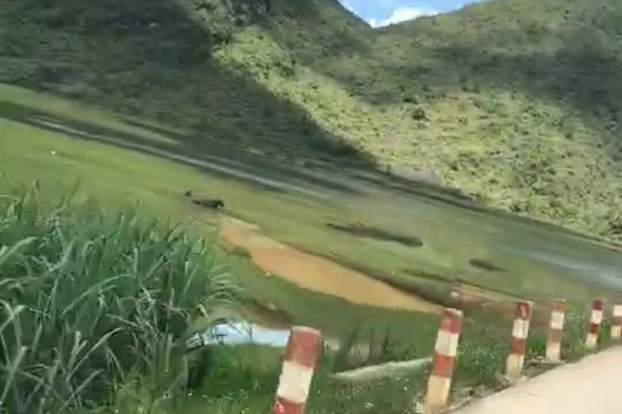 随拍好景 - 靖西市·靖西网