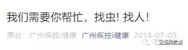 这种虫会传播“新型艾滋病”？！广西悬赏20元一只捉拿 - 靖西市·靖西网