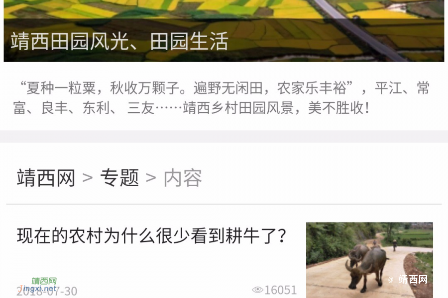 靖西网 小程序 ：给你方便， 给你颜色…… - 靖西市·靖西网