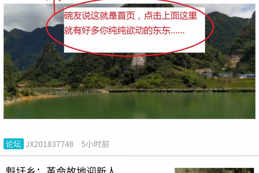 靖西网 小程序 ：给你方便， 给你颜色…… - 靖西市·靖西网