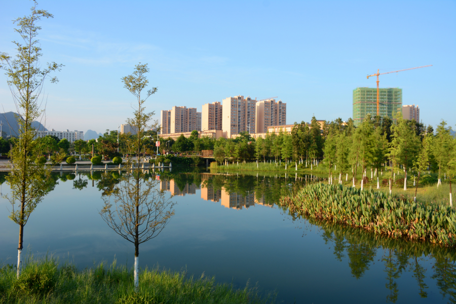 龙潭河的夏日之晨 - 靖西市·靖西网