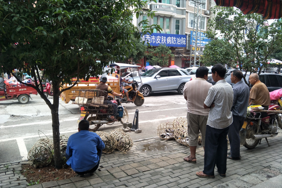 做鸭的靖西男人有点郁闷。。 - 靖西市·靖西网