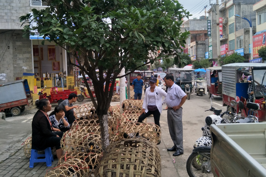 做鸭的靖西男人有点郁闷。。 - 靖西市·靖西网