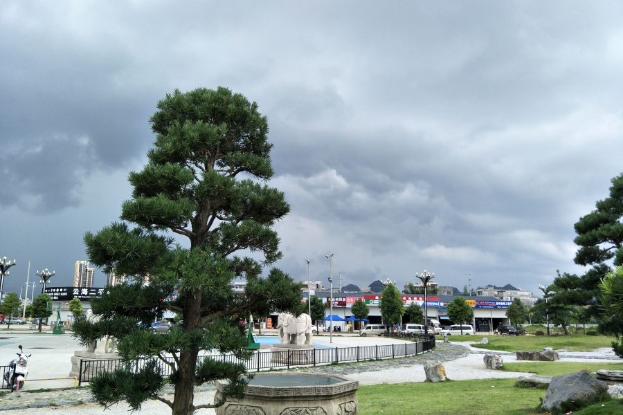 这场大雨很悲 - 靖西市·靖西网