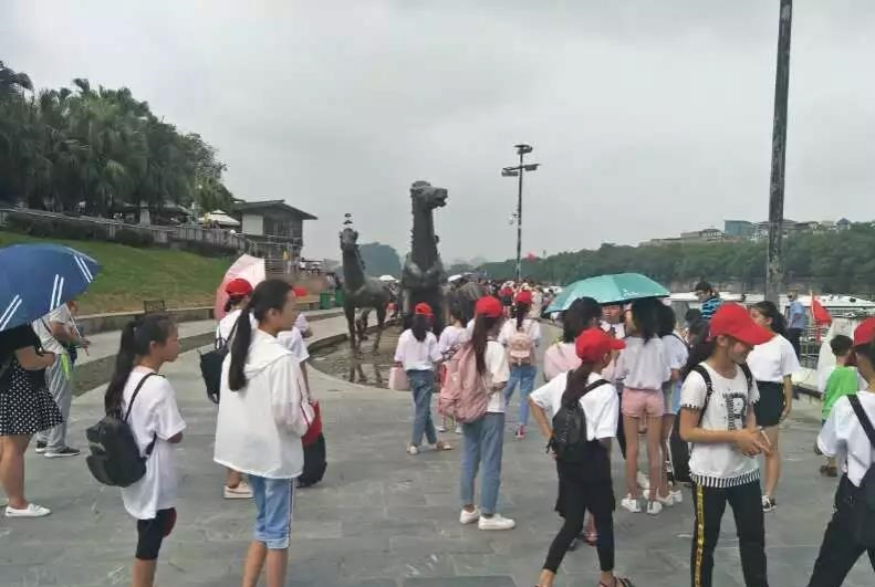 靖西市30名学生走进桂林.... - 靖西市·靖西网