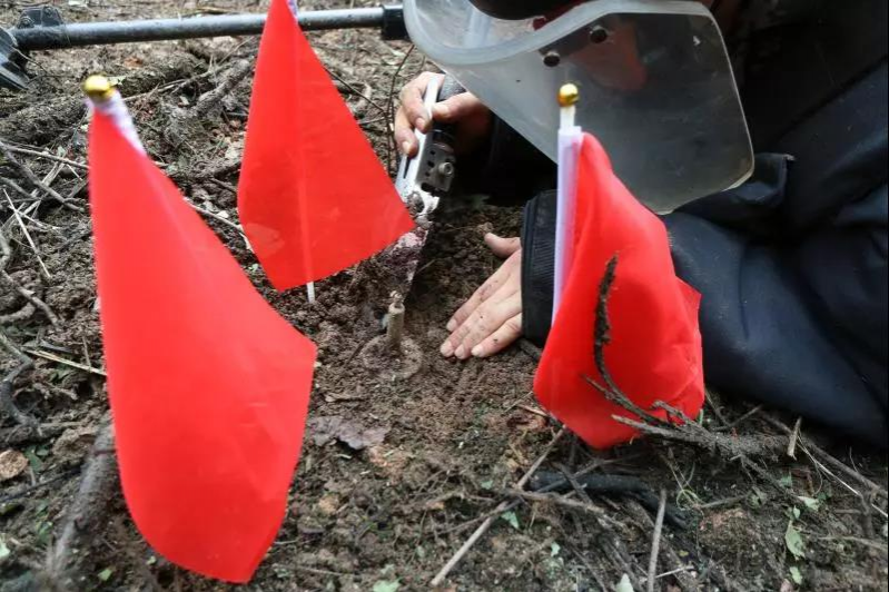 靖西大新边境“拆弹部队”奋战在危险地带 - 靖西市·靖西网