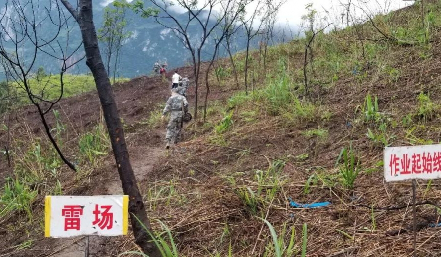 靖西大新边境“拆弹部队”奋战在危险地带 - 靖西市·靖西网