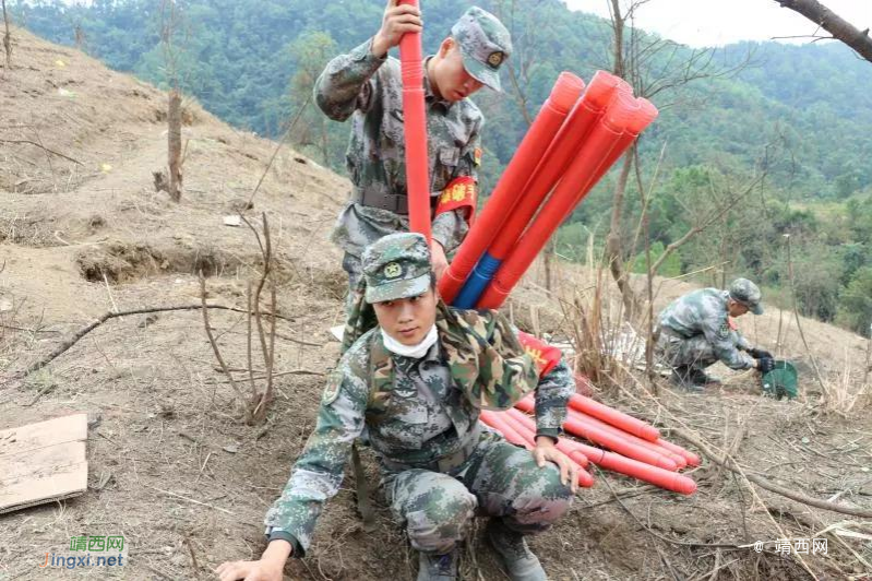 靖西大新边境“拆弹部队”奋战在危险地带 - 靖西市·靖西网