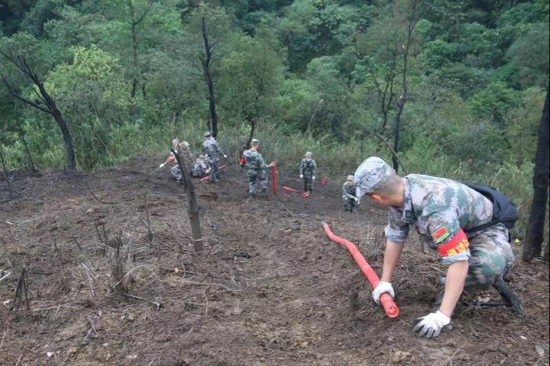 靖西大新边境“拆弹部队”奋战在危险地带 - 靖西市·靖西网
