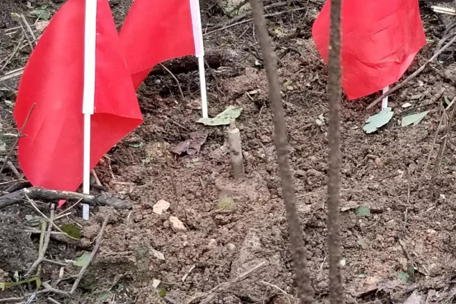 靖西大新边境“拆弹部队”奋战在危险地带 - 靖西市·靖西网