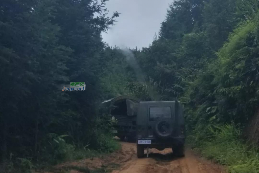 靖西大新边境“拆弹部队”奋战在危险地带 - 靖西市·靖西网