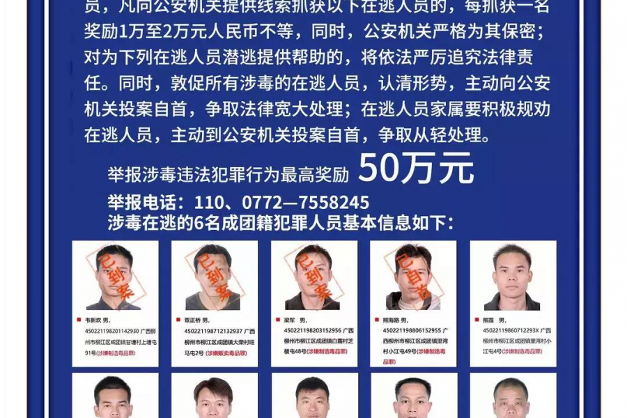 靖西人注意，发现这8个人立即报警，警方重金悬赏！ - 靖西市·靖西网