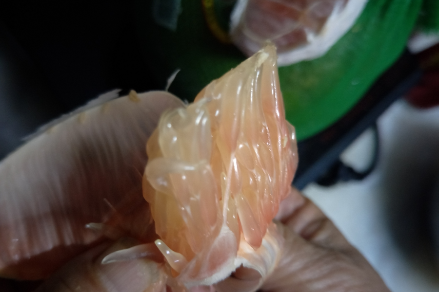 越南柚子入侵靖西，味道很好。 - 靖西市·靖西网