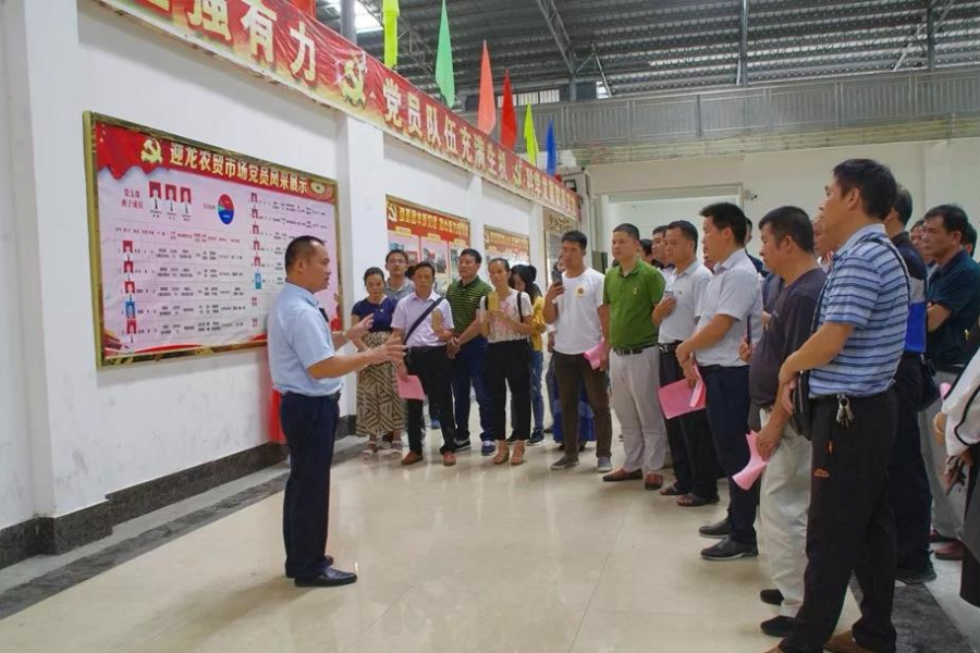 靖西99人赴百色市右江区考察学习两新组织党建工作 - 靖西市·靖西网
