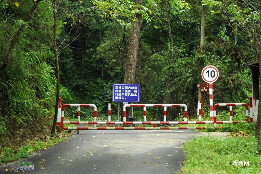 五岭林场，森林公园的三大危险地方，有马蜂窝，你都记住了吗？ - 靖西市·靖西网