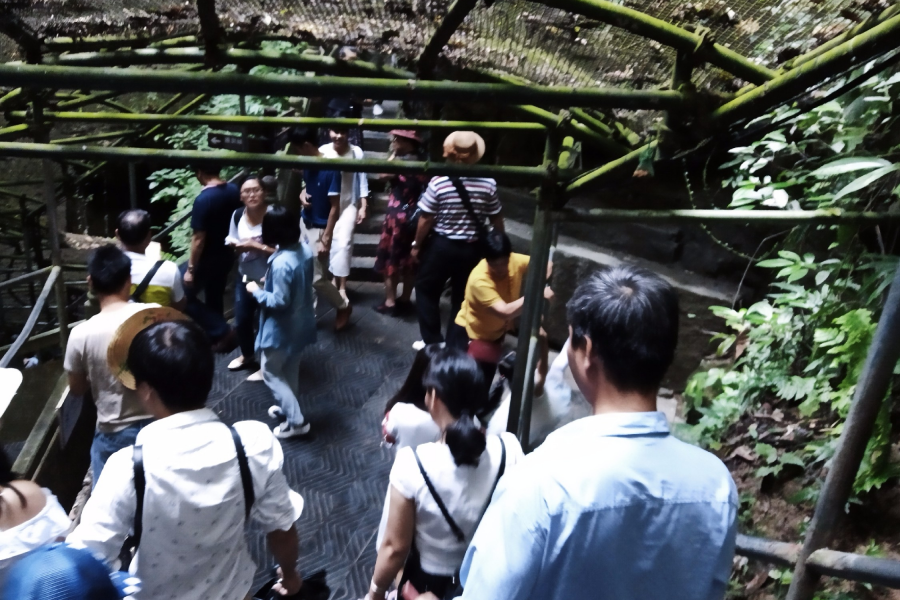 国庆期间通灵大峡谷游客蜂拥而来 - 靖西市·靖西网