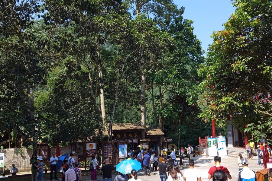 国庆期间通灵大峡谷游客蜂拥而来 - 靖西市·靖西网