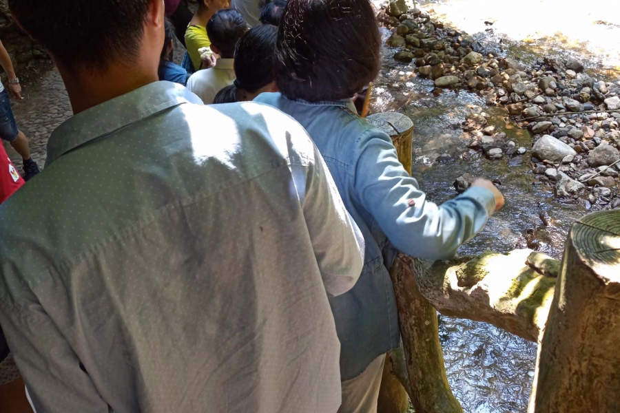 国庆期间通灵大峡谷游客蜂拥而来 - 靖西市·靖西网