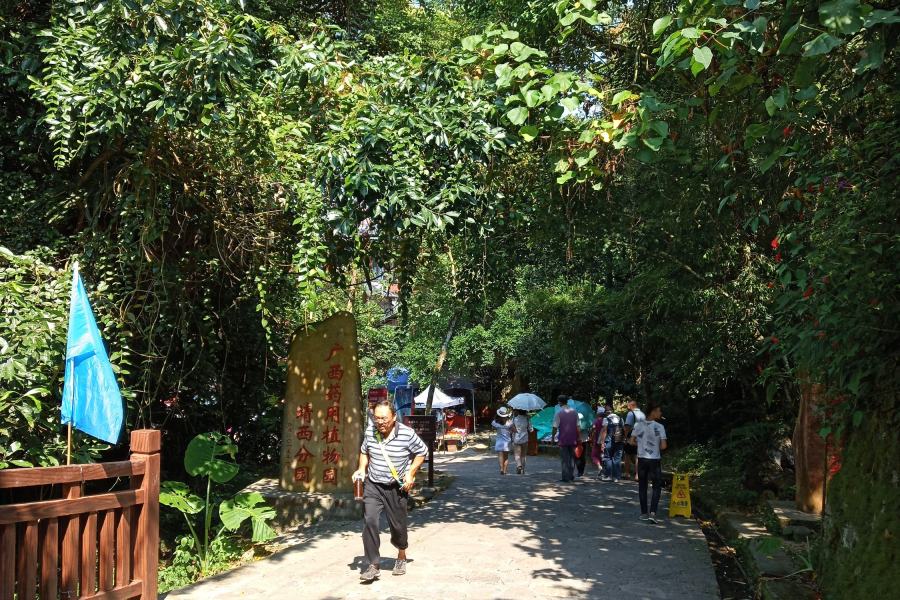 遗憾！偌大的靖西竟容不下这几个外地游客！ - 靖西市·靖西网