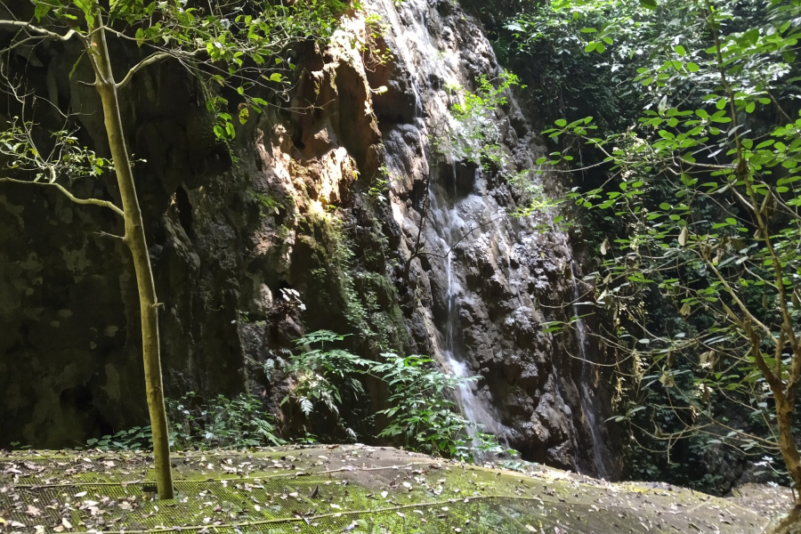 遗憾！偌大的靖西竟容不下这几个外地游客！ - 靖西市·靖西网