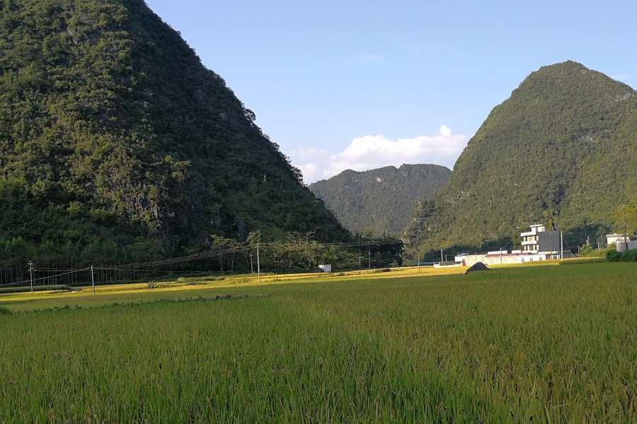 有些风景很美丽，有些手机却很丑… - 靖西市·靖西网