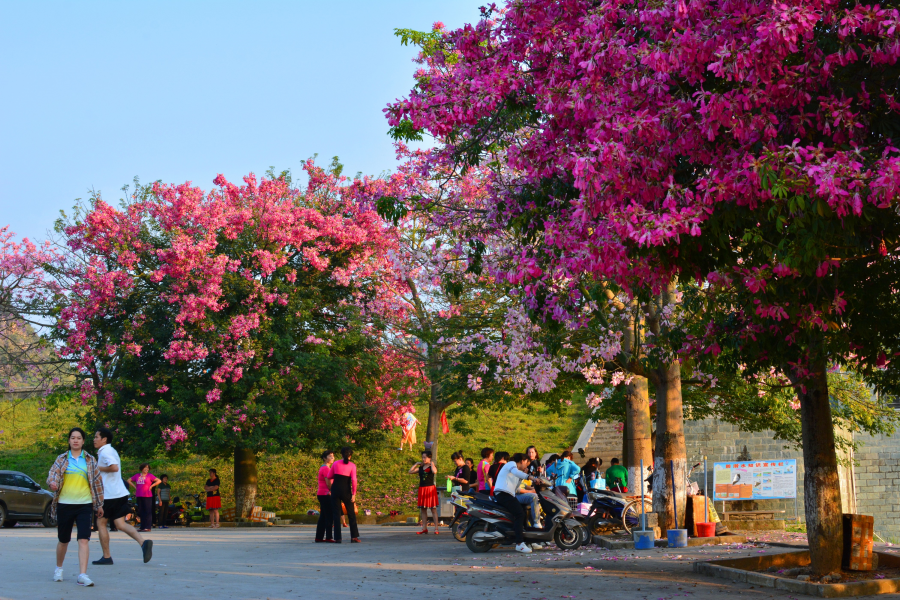 激动！我在靖西龙潭亲吻来自巴西的美人 - 靖西市·靖西网