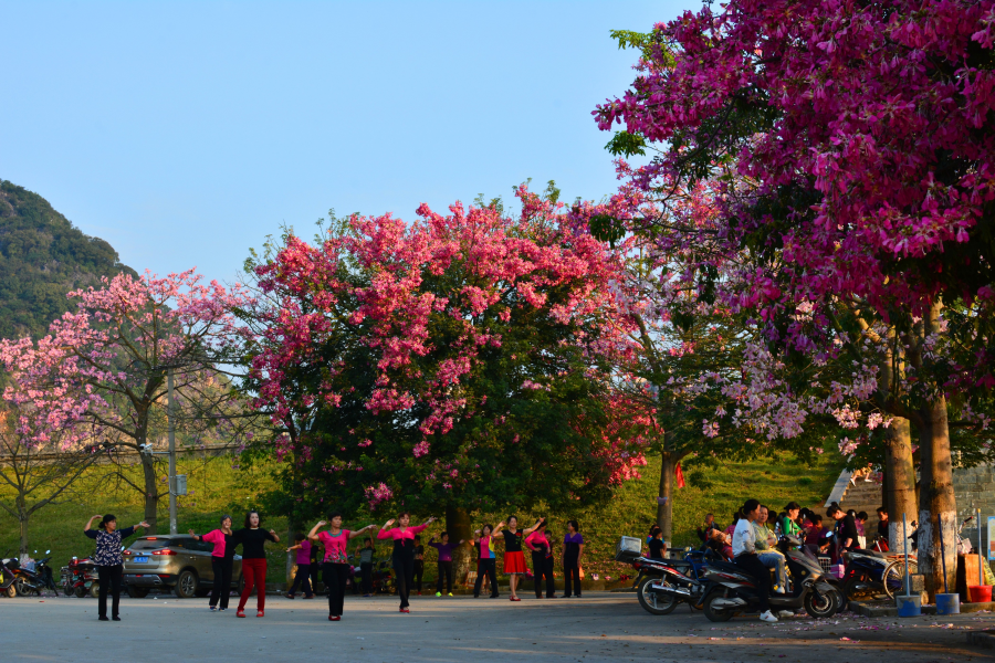 激动！我在靖西龙潭亲吻来自巴西的美人 - 靖西市·靖西网