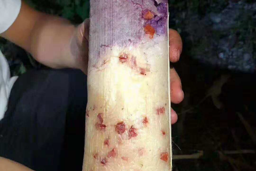 这天气，适合这样吃 - 靖西市·靖西网