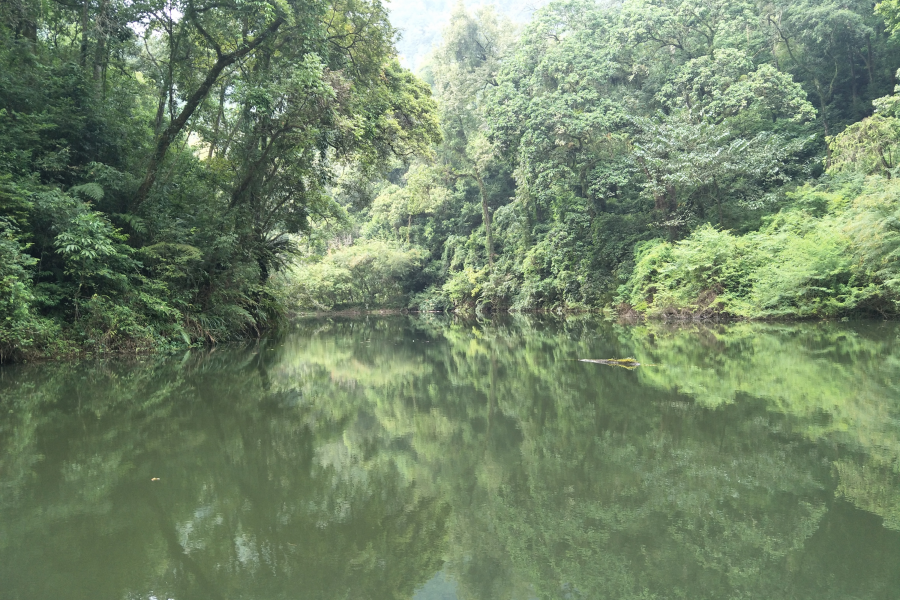 吕平（准国际）森林公园 - 靖西市·靖西网