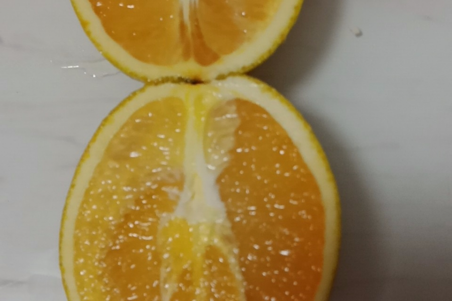 卖脐橙（那坡县那万脐橙，美国引进的脐橙品种） - 靖西市·靖西网