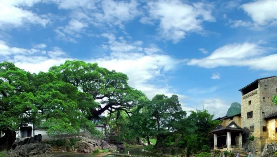 广西各地国庆黄金周吸金“成绩单”来了，靖西榜上有名！哪里人最多？ - 靖西市·靖西网