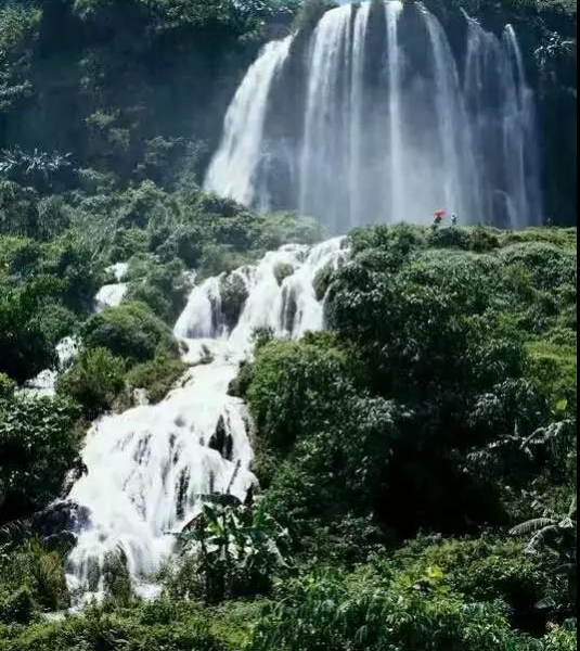 遗憾！偌大的靖西竟容不下这几个外地游客！ - 靖西市·靖西网