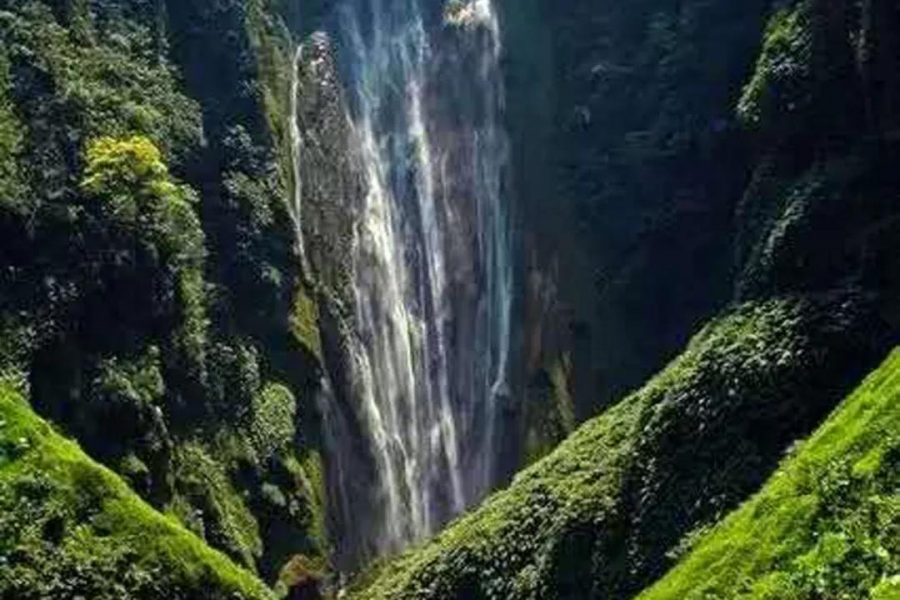 遗憾！偌大的靖西竟容不下这几个外地游客！ - 靖西市·靖西网