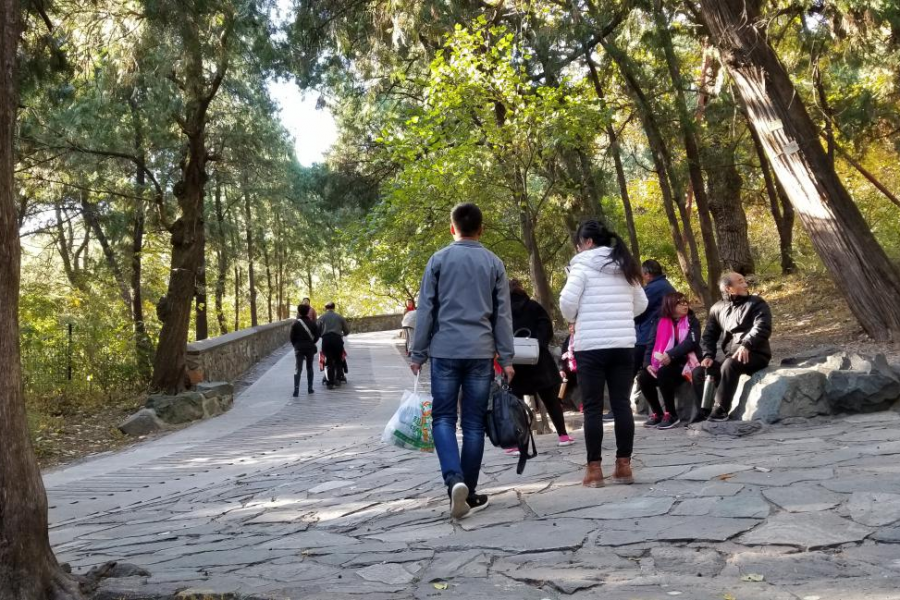 爬香山赏红叶，晒晒北京的秋景 - 靖西市·靖西网