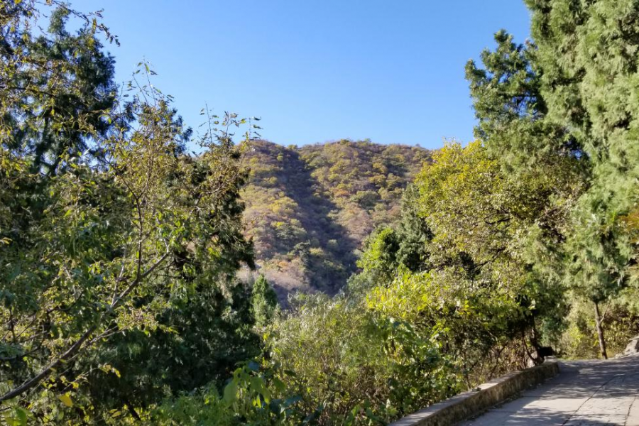 爬香山赏红叶，晒晒北京的秋景 - 靖西市·靖西网