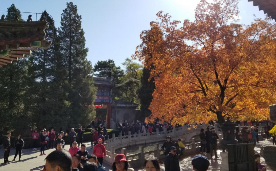 爬香山赏红叶，晒晒北京的秋景 - 靖西市·靖西网