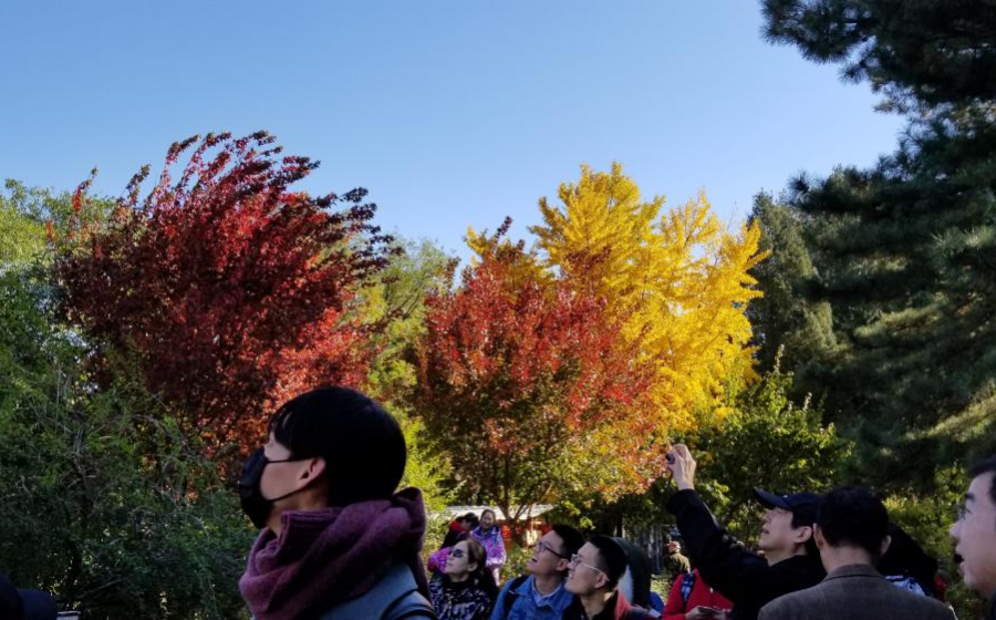 爬香山赏红叶，晒晒北京的秋景 - 靖西市·靖西网