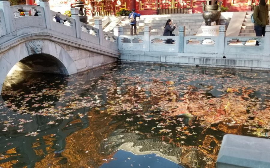 爬香山赏红叶，晒晒北京的秋景 - 靖西市·靖西网