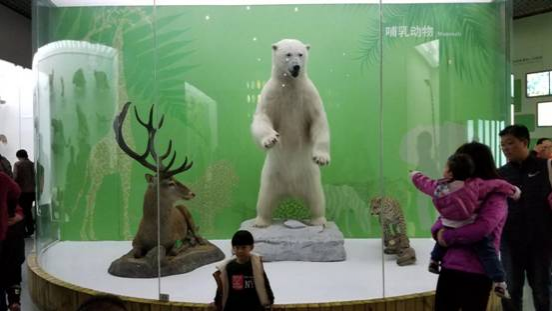 北京自然博物馆一日游，其实大人也应该来看看 - 靖西市·靖西网
