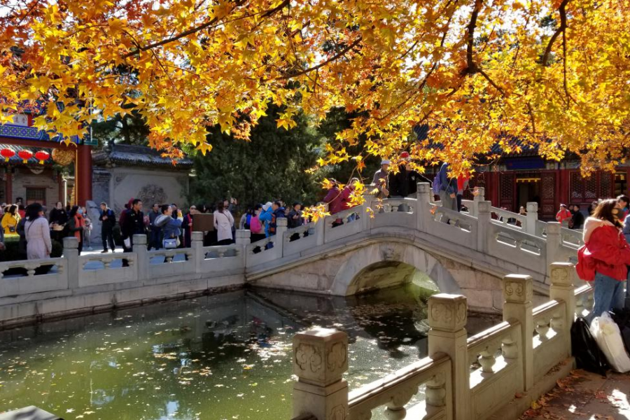 爬香山赏红叶，晒晒北京的秋景 - 靖西市·靖西网