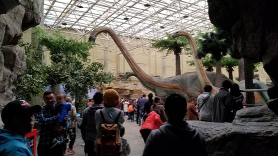 北京自然博物馆一日游，其实大人也应该来看看 - 靖西市·靖西网